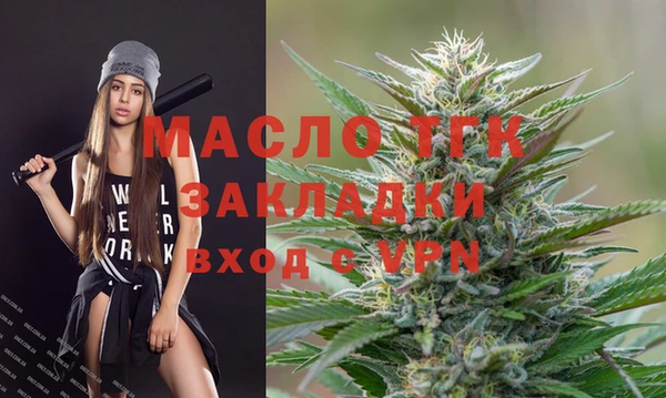твердый Верхний Тагил