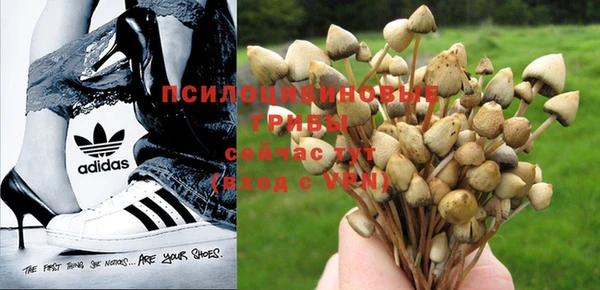 твердый Верхний Тагил