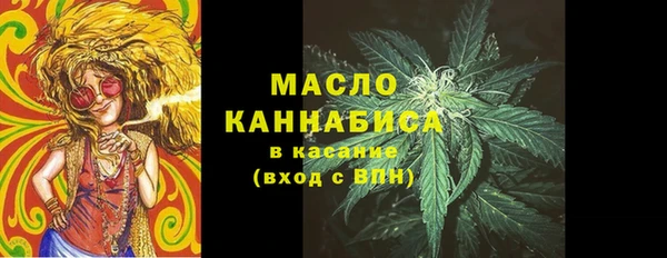 мдпв Вяземский