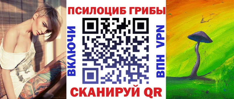 Галлюциногенные грибы Psilocybe  МЕГА ссылки  Сычёвка 